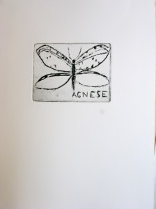 dessin de papillon à la gravure, cours de gravure à l'eau forte a Florence