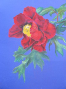 V.P, peonia, pastello su carta Fabriano, cm 50x70