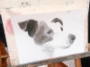 disegno-cane-sul-cavalletto