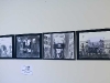 img_3019-web