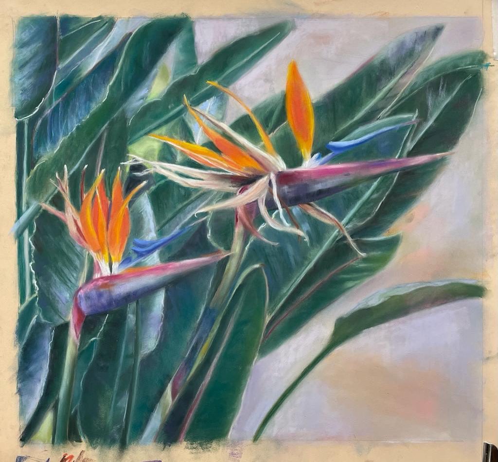 Fiori di Ibiscus, disegno a pastello su carta colorata, corso di pittura a Firenze