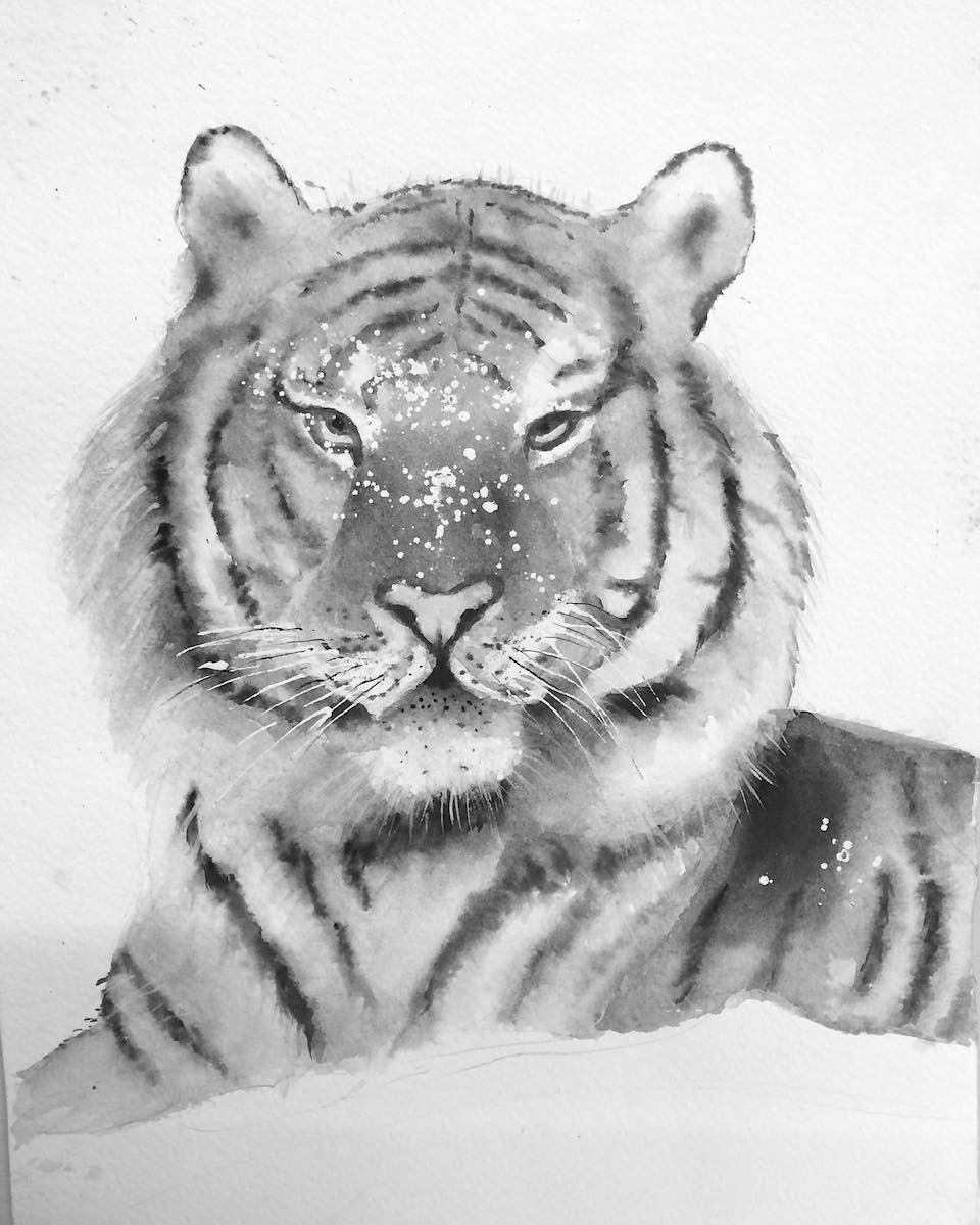 Tigre, acquarello